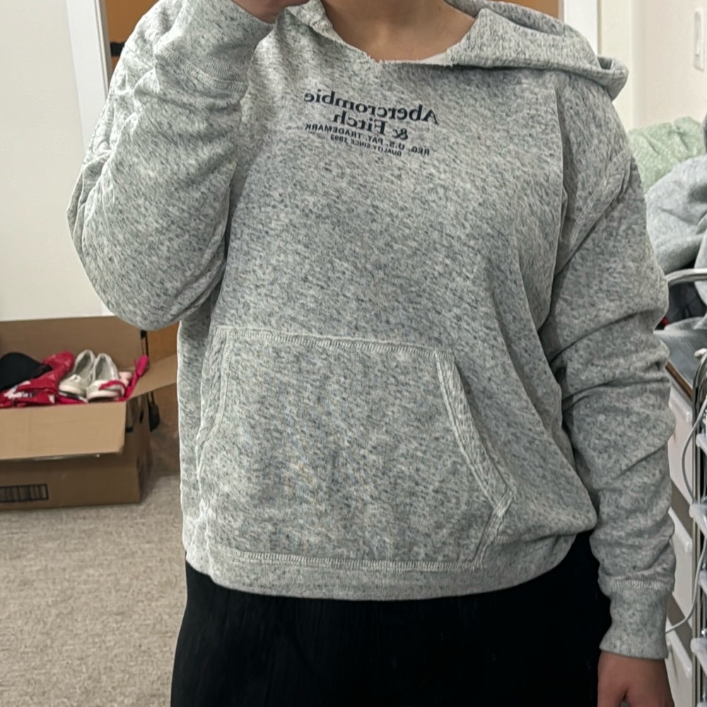 Abercrombie & Fitch Light Gray Boyfriend Hoodie